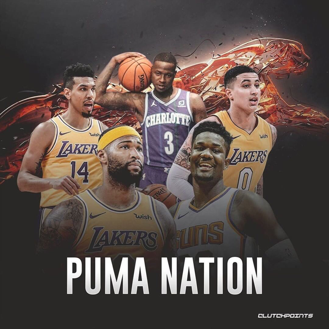 森乐净化商标设计欣赏